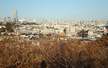 板金・外装補修